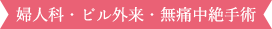 婦人科・ピル外来・無痛妊娠中絶手術